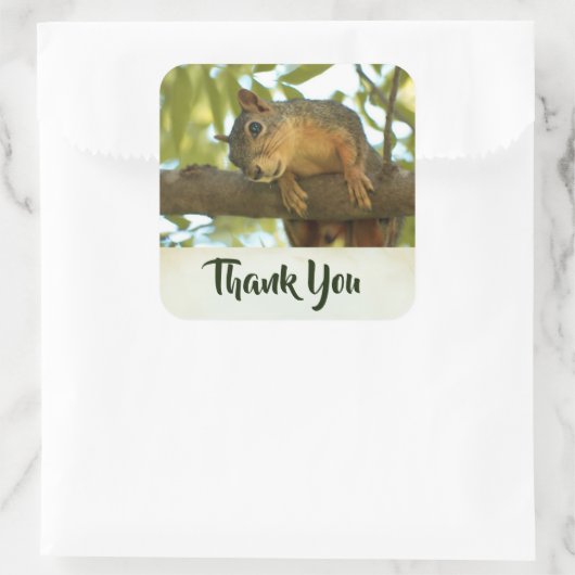 かわいい&好奇心リス自然写真 – ありがとう スクエアシール (バッグ)