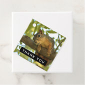 かわいい&好奇心リス自然写真 – ありがとう フェイバータグ (インサイチュ)