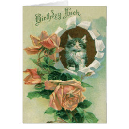 かわいい 子猫 バラ 薔薇