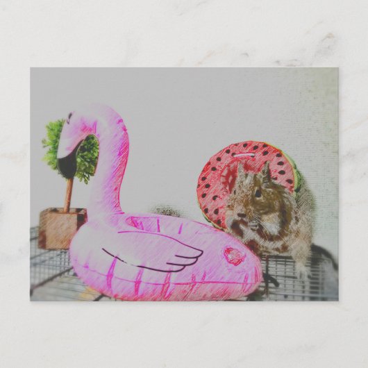 かわいい♡小動物 ポストカード (正面)