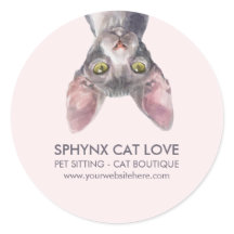 かわいい 小型 ピンク カナディアン スフィンクス 猫 カー