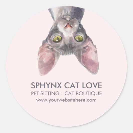 かわいい 小型 ピンク カナディアン スフィンクス 猫 カー ラウンドシール (正面)
