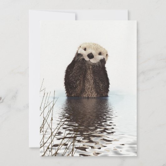 かわいい+愛らしい+ふわふわのカワウソ カード (正面)