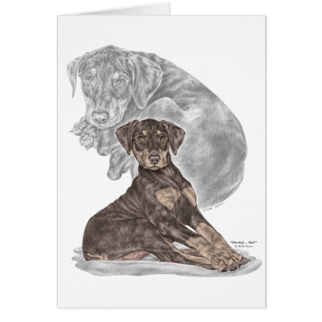 かわいい（犬）ドーベルマン・ピンシェルパピー (正面)