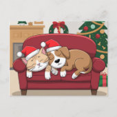 かわいい 犬 猫 サンタ 帽子 クリスマス ポストカード (正面)