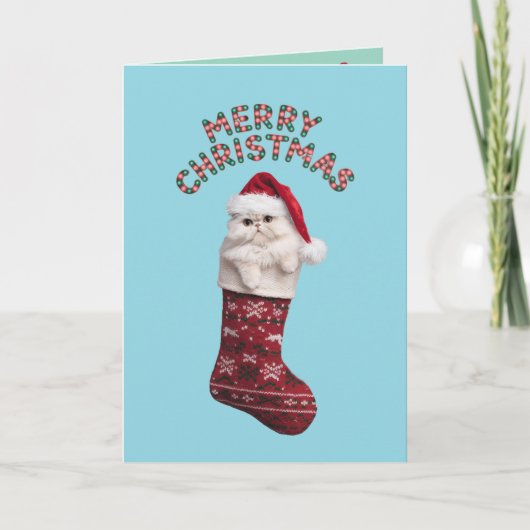かわいい 白いペルシャ猫 クリスマス カード (正面)