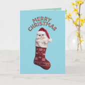 かわいい 白いペルシャ猫 クリスマス カード (黄色い花)