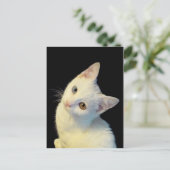 かわいい 白い トルコバン 子猫 ポストカード (スタンド正面)