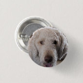 かわいい 缶バッジ (正面&裏面)