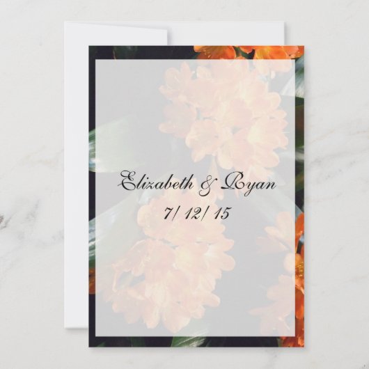 かわいい、面白い結婚アドバイス 花嫁と花婿へ 招待状 (裏面)