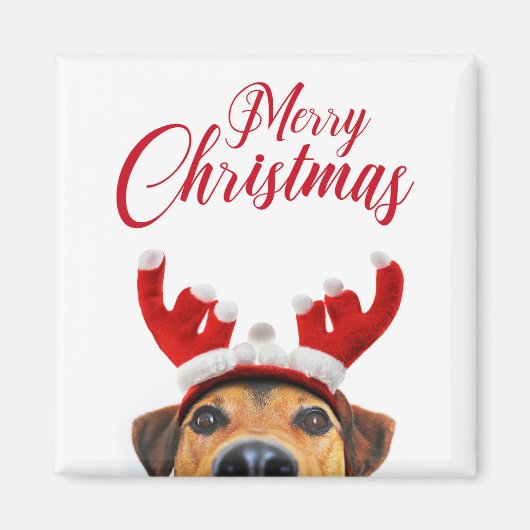 かわいい 面白い クリスマス 犬 トナカイの角 ヘアバンド マグネット (正面)