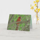かわいい(鳥)ショウジョウコウカンチョウが木の写真に空白の写る カード (黄色い花)