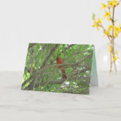 かわいい(鳥)ショウジョウコウカンチョウ考えオンブランチズオブユー カード (黄色い花)