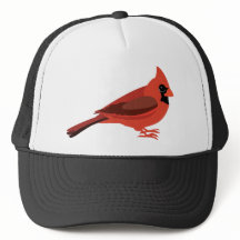 かわいい（鳥）ショウジョウコウカンチョウ