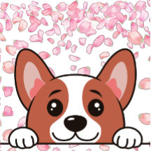 かわいい – Petプリント毛布