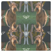 かわいいAiredaleテリア ファブリック (見本)