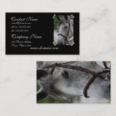 かわいいAppaloosaの馬の名刺 名刺 (正面/裏面)