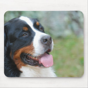 かわいいBerneseのマウスパッド マウスパッド