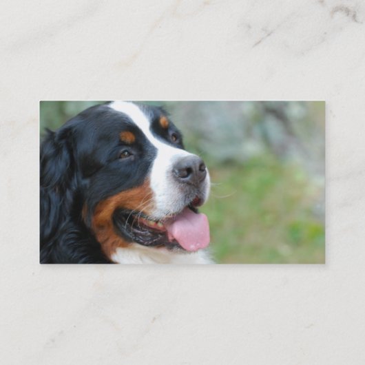 かわいいBerneseの名刺 名刺 (裏面)