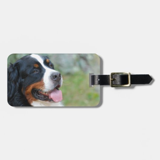 かわいいBerneseの荷物のラベル ラゲッジタグ (正面横)