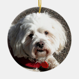 かわいいbichonのfrise犬 セラミックオーナメント