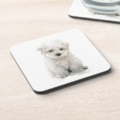 かわいいBichon Friseのコルクのコースター コースター (左側)