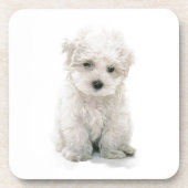 かわいいBichon Friseのコルクのコースター コースター (正面)