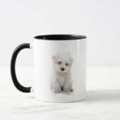 かわいいBichon Friseのコーヒー・マグ マグカップ (左)