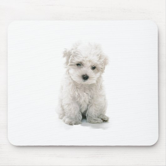 かわいいBichon Friseのマウスパッド マウスパッド (正面)