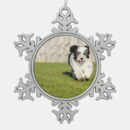かわいいBobtail牧羊犬 スノーフレークピューターオーナメント (正面)