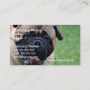 かわいいBullmastiff 名刺