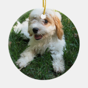 かわいいCAVAPOOの子犬 セラミックオーナメント