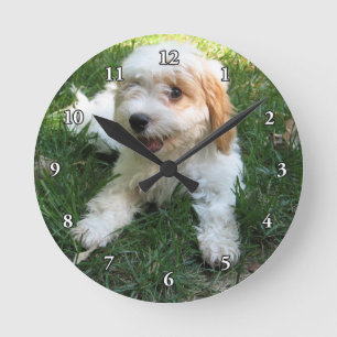 かわいいCAVAPOOの子犬 ラウンド壁時計