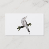 かわいいCockatielの名刺 名刺 (裏面)