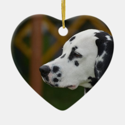 かわいいDalmatian子犬 セラミックオーナメント (正面)
