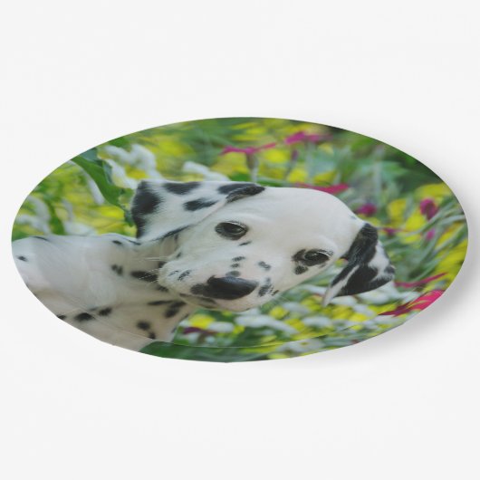 かわいいDalmatian犬のかわいい子犬のポートレートの幸せなパーティー ペーパープレート (アングル)
