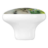 かわいいDalmatian犬の装飾的なかわいい子犬のポートレート セラミックノブ (側面)