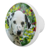 かわいいDalmatian犬の装飾的なかわいい子犬のポートレート セラミックノブ (右)