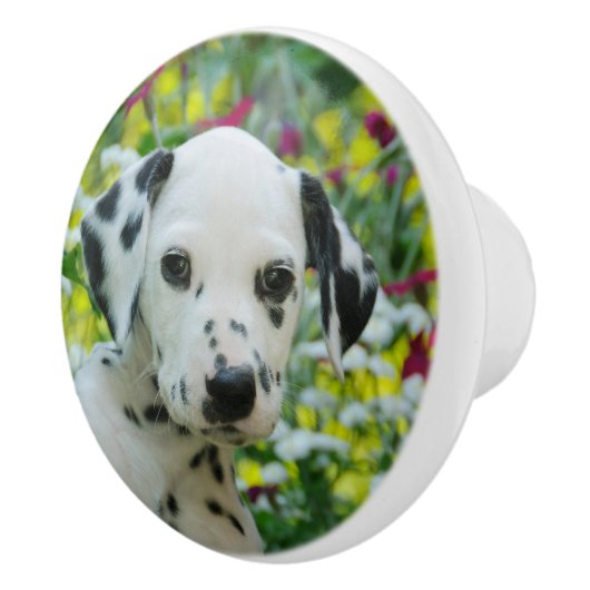 かわいいDalmatian犬の装飾的なかわいい子犬のポートレート セラミックノブ (右)