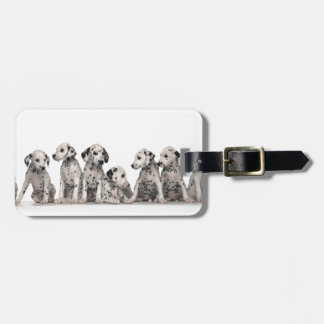かわいいdalmationの子犬のpupy子犬の小犬犬 ラゲッジタグ