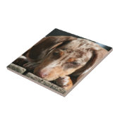 かわいいDaschundの子犬のタイル タイル (側面)