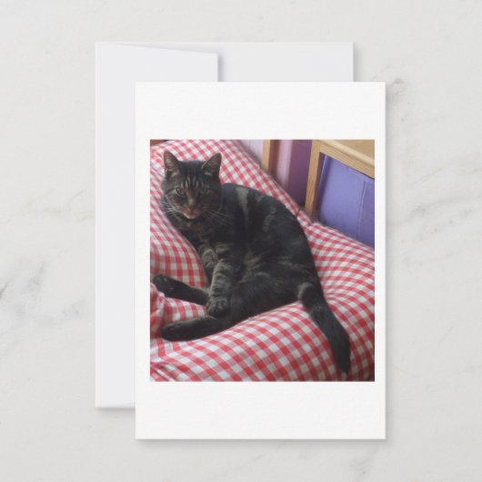 かわいいDave応答カード(RSVP) 出欠カード (正面)