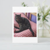 かわいいDave応答カード(RSVP) 出欠カード (スタンド正面)