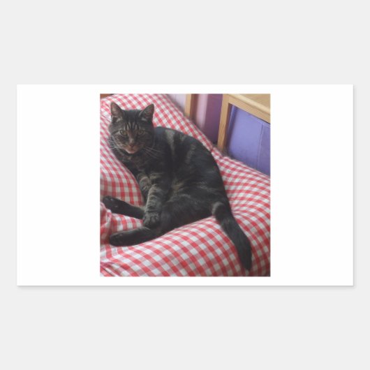 かわいいDave Rectangleスタンプ 長方形シール (正面)