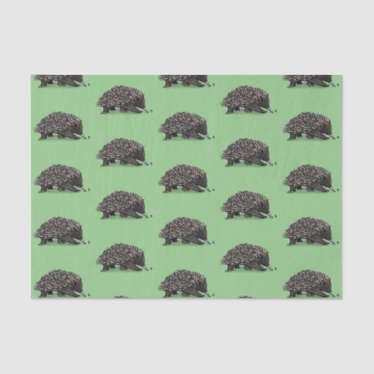 かわいいechidnaビー漫画イラストレーション 薄葉紙 (正面)