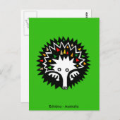かわいいECHIDNA – オーストラリアの野生生物 – 自然 ポストカード (正面/裏面)
