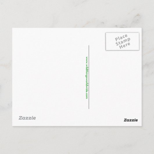 かわいいECHIDNA – オーストラリアの野生生物 – 自然 ポストカード (裏面)