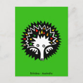 かわいいECHIDNA – オーストラリアの野生生物 – 自然 ポストカード (正面)