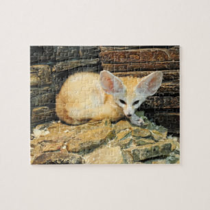 かわいいfennecの孤 ジグソーパズル
