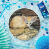 かわいいfennecの孤 ペーパープレート (パーティー)